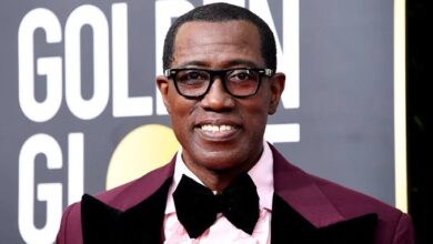 wesley snipes biography