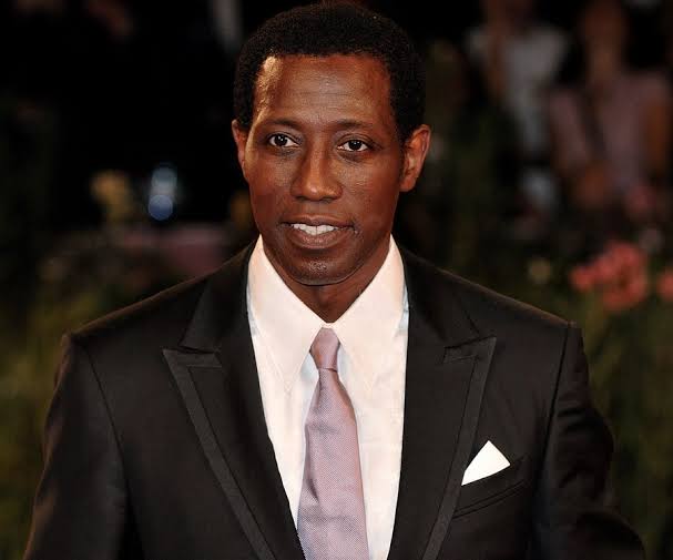 wesley snipes net Worth